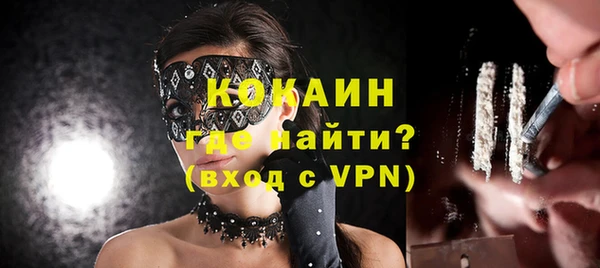 индика Баксан