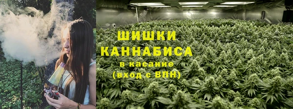 индика Баксан
