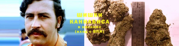 прущие крисы Покровск