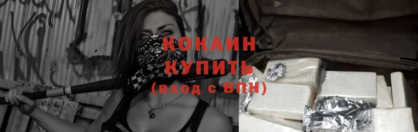 индика Баксан