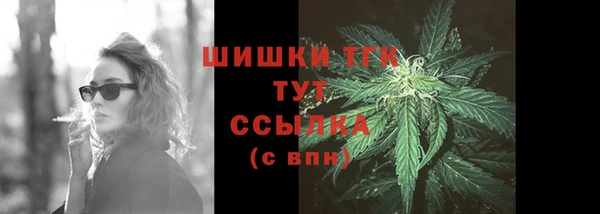 индика Баксан