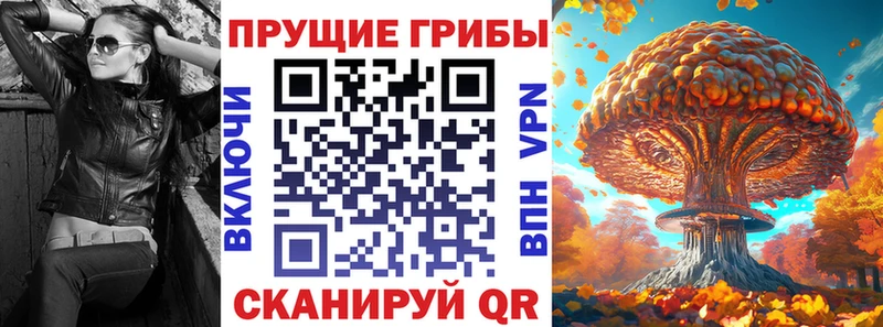 Псилоцибиновые грибы мухоморы  Лермонтов 
